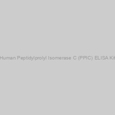 Image of Human Peptidylprolyl Isomerase C (PPIC) ELISA Kit